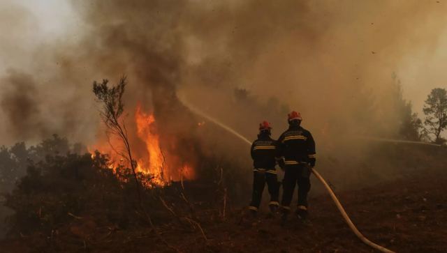 Με έδρα τη Λαμία κι άλλες πέντε πόλεις οι Ειδικές Μονάδες Δασικών Επιχειρήσεων