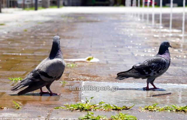 Κυριακή: Άνοδος της θερμοκρασίας - Προσοχή στις πυρκαγιές