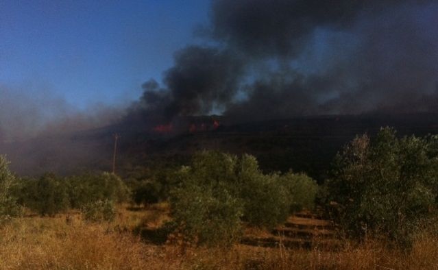ΤΩΡΑ: Συναγερμός για πυρκαγιά στις Βαρδάτες
