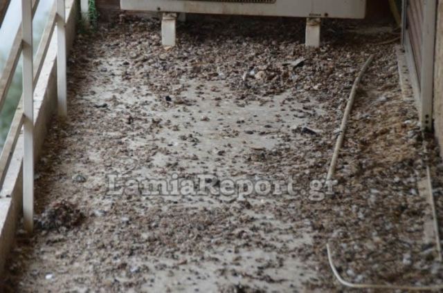 Ζητούν την παρέμβαση Εισαγγελέα για το διαμέρισμα - περιστερώνα