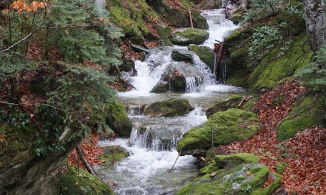 Μαγεύουν οι εικόνες από τους… καταρράκτες του Κισσάβου (φωτ.)