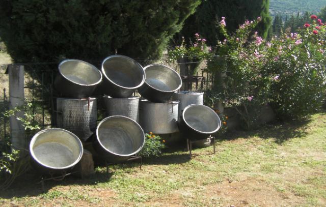 Πολύδροσος: Η γιορτή Πετιμεζιού 2023 άρχισε