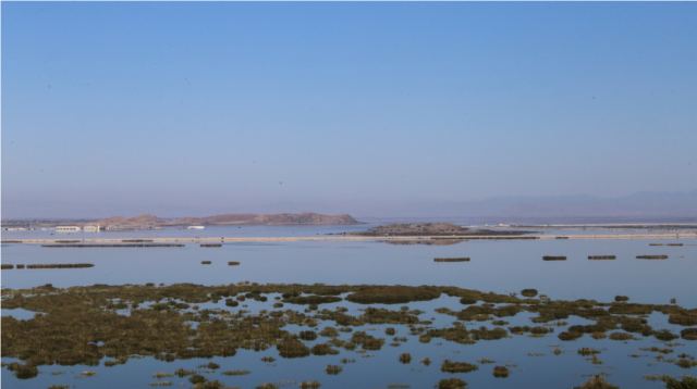 Λίμνη Κάρλα: Νεκρός ο 43χρονος αγνοούμενος ψαράς - Τελευταία στιγμή σώθηκε ο αδερφός του που τον αναγνώρισε