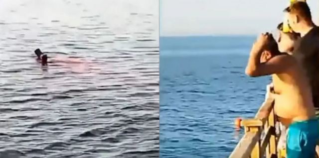 Καρχαρίας κατασπάραξε τουρίστρια μπροστά στα μάτια λουόμενων