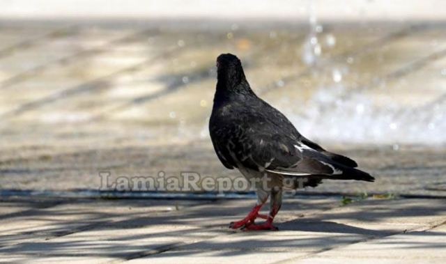 «Καμίνι» σήμερα η χώρα με θερμοκρασίες έως και 42° - Δείτε σε ποιες περιοχές