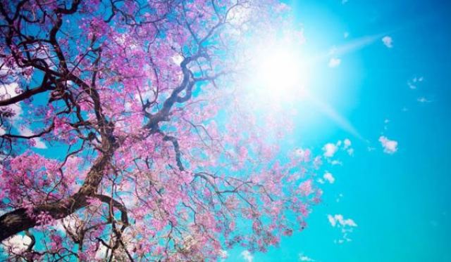 Ανοιξιάτικος καιρός με αφρικανική σκόνη στο μενού