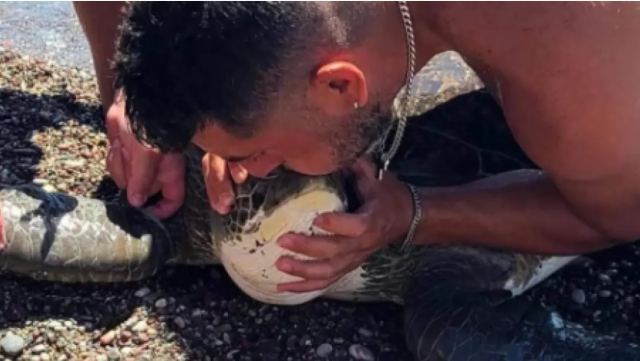 Ρόδος: Δύτης έκανε... τεχνητή αναπνοή σε θαλάσσια χελώνα που μπλέχτηκε σε σχοινιά! - Δείτε βίντεο