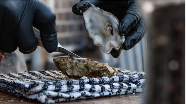 Έφαγε ωμό στρείδι σε εστιατόριο της Φλόριντα και βρήκε τραγικό θάνατο