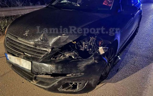 Τροχαίο με μεγάλο αγριογούρουνο έξω από τη Λαμία (ΦΩΤΟ)