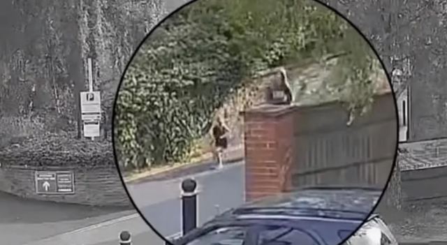 Σοκ: Οι τελευταίες στιγμές 9χρονης Βρετανής που έπαιζε με χούλα χουπ στο δρόμο, πριν τη μαχαιρώσουν μέχρι θανάτου