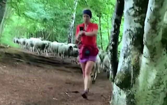 Γαλλία: Γυναίκα πεζοπόρος «σαγήνευσε» ένα κοπάδι πρόβατα που την ακολούθησαν τυφλά στο μονοπάτι της