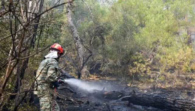 Φωτιά στο Δάσος της Δαδιάς: Άρχισε να βρέχει στον Έβρο
