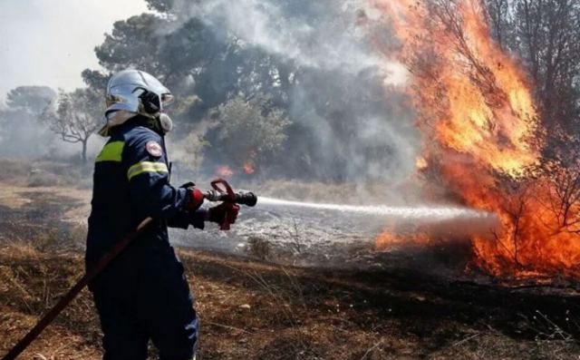 Πυρκαγιά στην Εύβοια