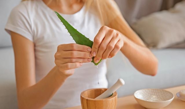 Αλόη βέρα: Γιατί την «ψάχνουν» ως πιθανή καρκινογόνα ουσία; Εξηγεί καθηγήτρια φαρμακολογίας