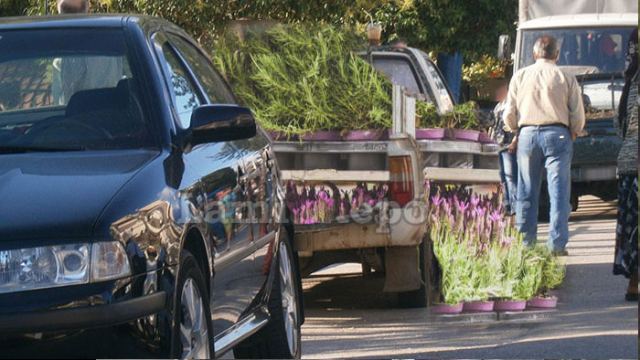 Φθιώτιδα: Πλήρωσε πολύ ακριβά τα «λουλούδια»