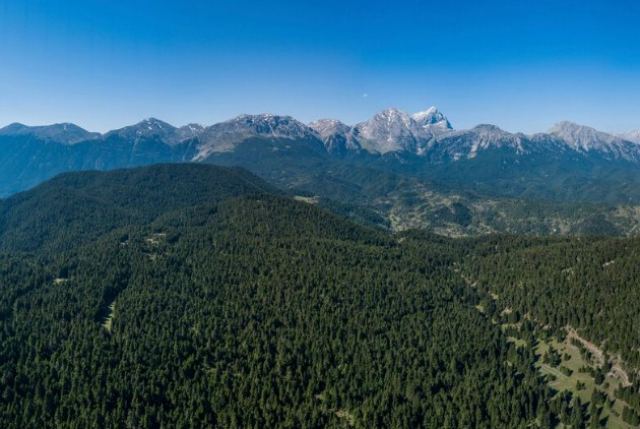 Απόφαση-σταθμός για τη σωτηρία της Παρνασσίδας