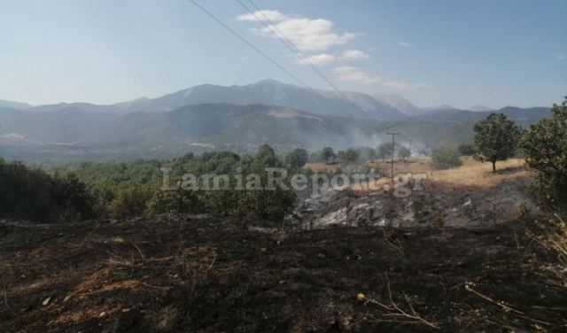 Φθιώτιδα: Μετά την κακοκαιρία παντού πυρκαγιές!