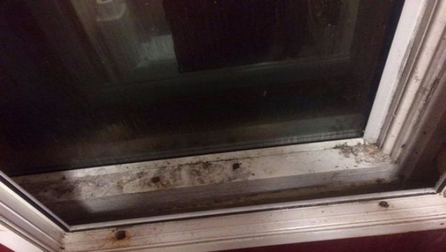 Λαμία: Βρήκαν τους κλέφτες που «σήκωσαν» την ταμειακή