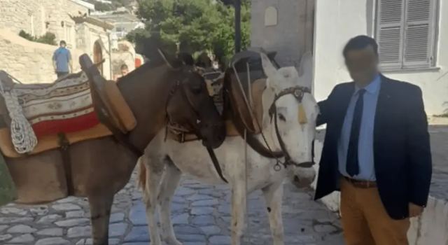 Δήμος Ζίτσας: Παύεται από τα καθήκοντα ο αντιδήμαρχος για την κακοποίηση του γαϊδουριού