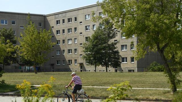 Γερμανία: Ψύχωση με δηλητηριώδη κόμπρα που αγνοείται από την Κυριακή