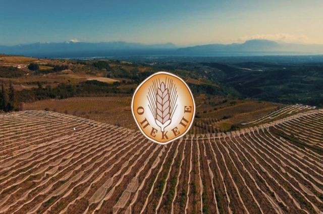 ΟΠΕΚΕΠΕ: Διευκρινίσεις για την καταβολή των συνδεδεμένων ενισχύσεων