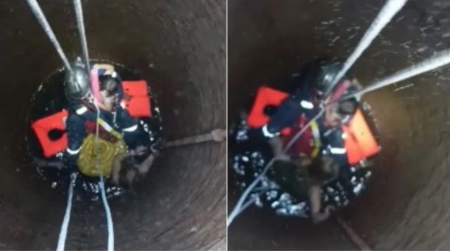 Συγκλονιστικό βίντεο από τον απεγκλωβισμό γιαγιάς και εγγονής που έπεσαν σε πηγάδι στην Κέρκυρα