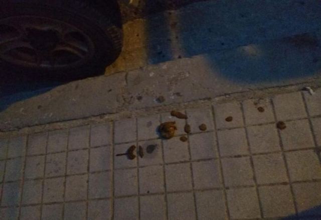 Πότε θα μάθουν να μαζεύουν τις ακαθαρσίες των σκύλων τους;