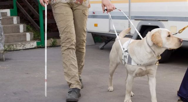Καταδίκη ταξιτζή που αρνήθηκε να επιβιβάσει τυφλή κοπέλα λόγω του σκύλου-οδηγού της