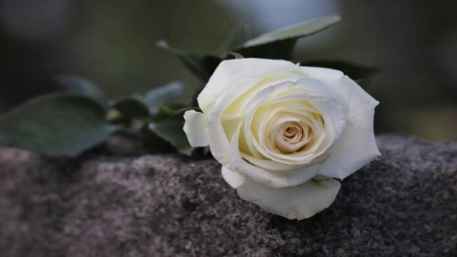 Νέοι θάνατοι από κορωνοϊό σε Φθιώτιδα και Στερεά