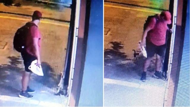 Θεσσαλονίκη: Κινητοποίηση στα social media για τον άντρα που ποδοπάτησε το γατάκι