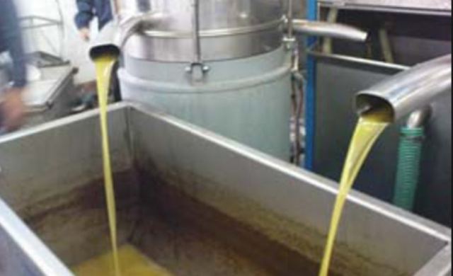 «Λουκέτα» σε τρια ελαιοτριβεία - Το ένα στη Φθιώτιδα