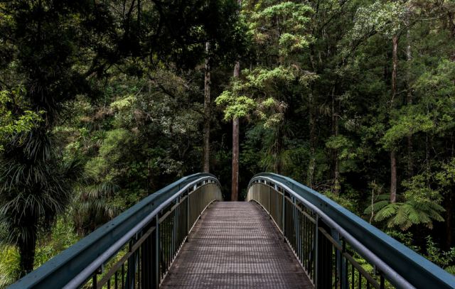 Έρευνα: Η συχνή επαφή με τη φύση αποτελεί «αντίδοτο» για τα αγχολυτικά και άλλα φάρμακα
