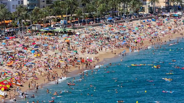 Κλιματική αλλαγή - Θαλάσσια ζέστη: Η νέα απειλή για τη Μεσόγειο με... μπαρακούντα, λαγόψαρα και τεράστιες μέδουσες!