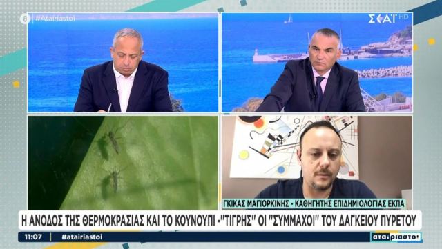 Ο Μαγιορκίνης προειδοποιεί για τον δάγκειο πυρετό: Σύμμαχοί του η ζέστη και το ασιατικό κουνούπι