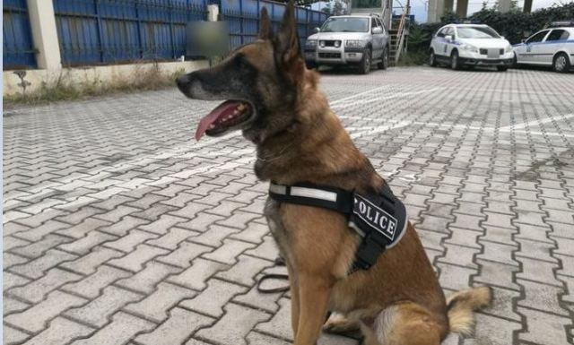 Αυτός είναι ο Ζαν… Ένας από τους καλύτερους «αστυνομικούς» της Φθιώτιδας