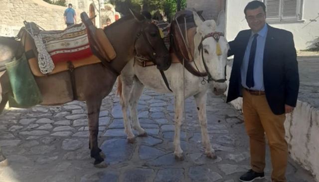 «Δεν είναι γαϊδουράκι, αλλά μουλάρι», λέει ο δήμαρχος Ύδρας για τη φωτογραφία με το ψυγείο που προκάλεσε σάλο