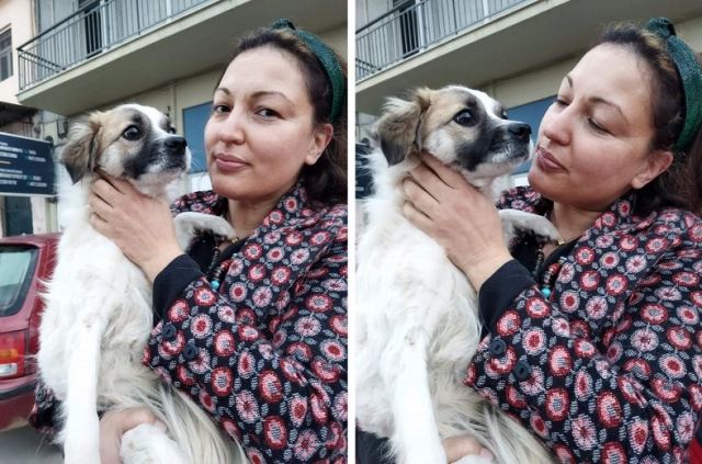 Η σκυλίτσα από τα παγωμένα νερά του Σπερχειού, ευτυχισμένη πλέον στην αγκαλιά ανθρώπων!