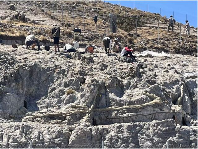 Λέσβος: Όχι ένα απολιθωμένο δάσος αλλά τέσσερα! Απολιθώθηκε το ένα πάνω στο άλλο