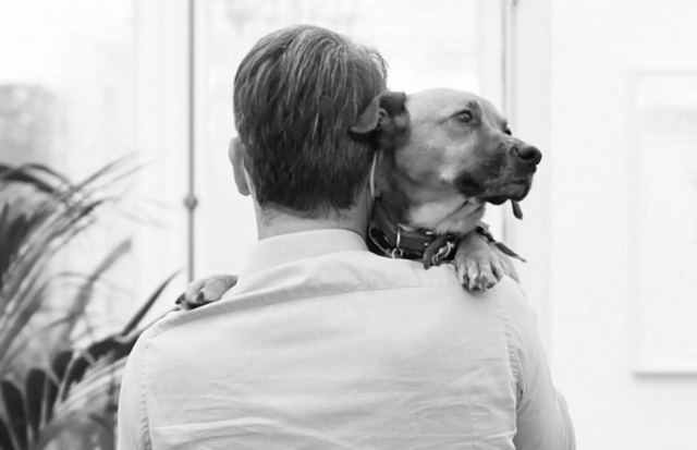 Κυριάκος Μητσοτάκης για Παγκόσμια Ημέρα για τα Αδέσποτα – Το μήνυμα και η αγκαλιά με τον Πίνατ