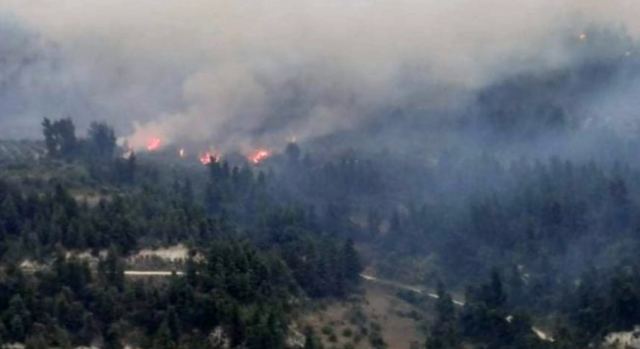 Μαίνεται η μεγάλη πυρκαγιά στην Κασσάνδρα Χαλκιδικής - Στη μάχη 4 Canadair