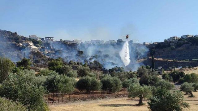 Χωρίς ενεργό μέτωπο η πυρκαγιά στην Ηλεία - Μάχη με τις διάσπαρτες εστίες