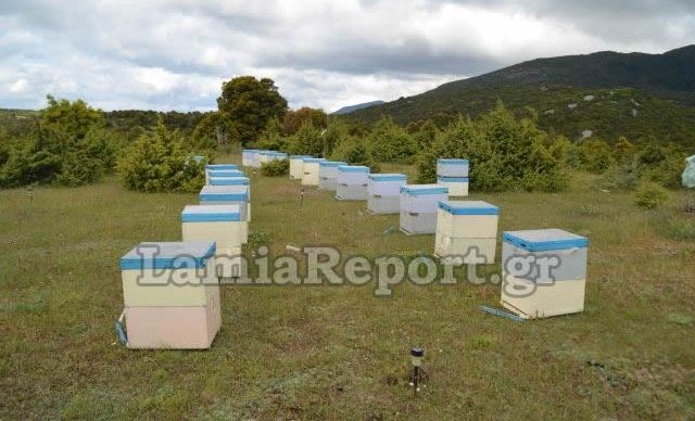 Έκλεβε τα μελίσσια με το ΙΧ για να μην τον καταλάβουν!