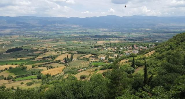 Πεζοπορική διαδρομή του Ομίλου Φίλων Δάσους στο Αργυροχώρι Υπάτης