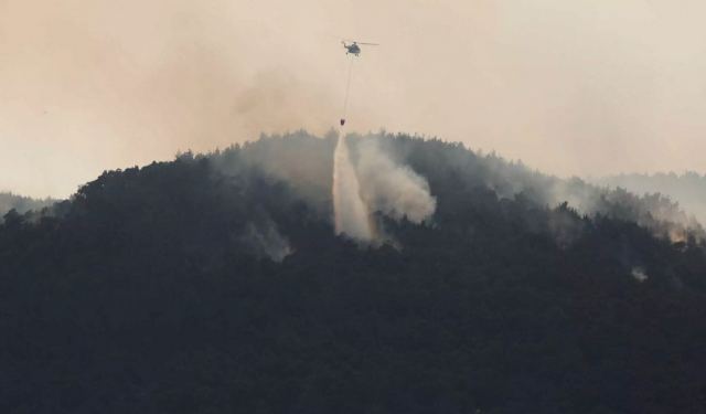 Φωτιά στη Δαδιά: Βελτιωμένη η εικόνα - Στάχτη 25.000 στρέμματα δάσους
