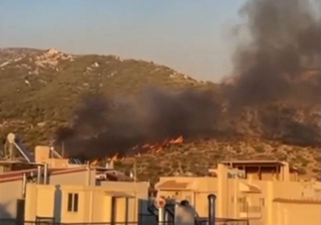 Γλυφάδα: Πρόστιμο 9.200 ευρώ θα πληρώσουν οι δύο 14χρονοι για τη φωτιά στην Τερψιθέα - Οδηγούνται στον εισαγγελέα