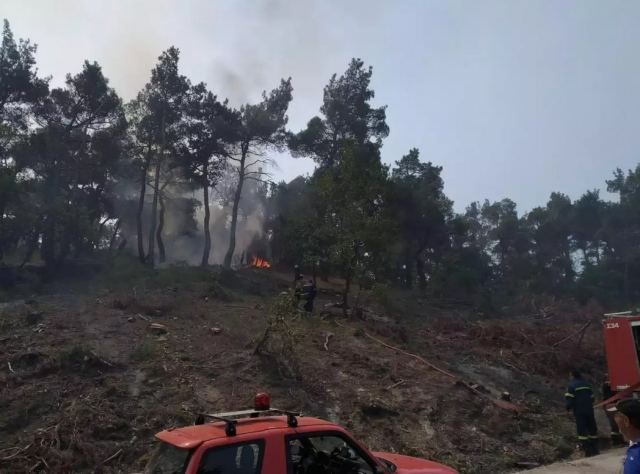 Μάχη μόνο από αέρος για να σωθεί το Εθνικό Πάρκο της Δαδιάς στον Έβρο - Δεν μπορούν να πλησιάσουν οι επίγειες δυνάμεις