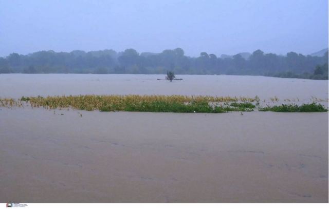 Ανέβηκε επικίνδυνα η στάθμη του Πηνειού - Ζητείται απομάκρυνση όσων είναι εντός της πλημμυρικής ζώνης