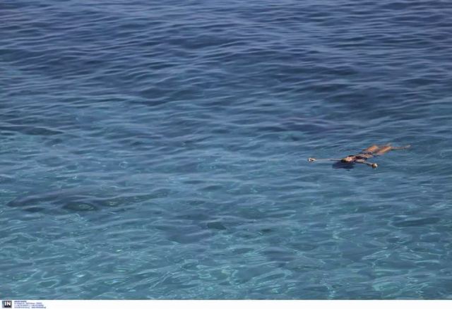 Άνοιξε και έκλεισε σε λιγότερο από 20 λεπτά η πλατφόρμα North Evia - Samos Pass - Συμπληρώθηκαν οι αιτήσεις