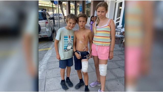 Αγέλη σκύλων επιτέθηκε σε οικογένεια Βρετανών στο Σουσάκι Κορινθίας - «Πιστέψαμε ότι θα πεθάνουμε», λέει ο πατέρας