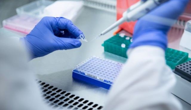 Ευλογιά των πιθήκων: Εξαπλώνεται στην Ευρώπη -Νέα κρούσματα σε Ολλανδία, Ισπανία και Πορτογαλία